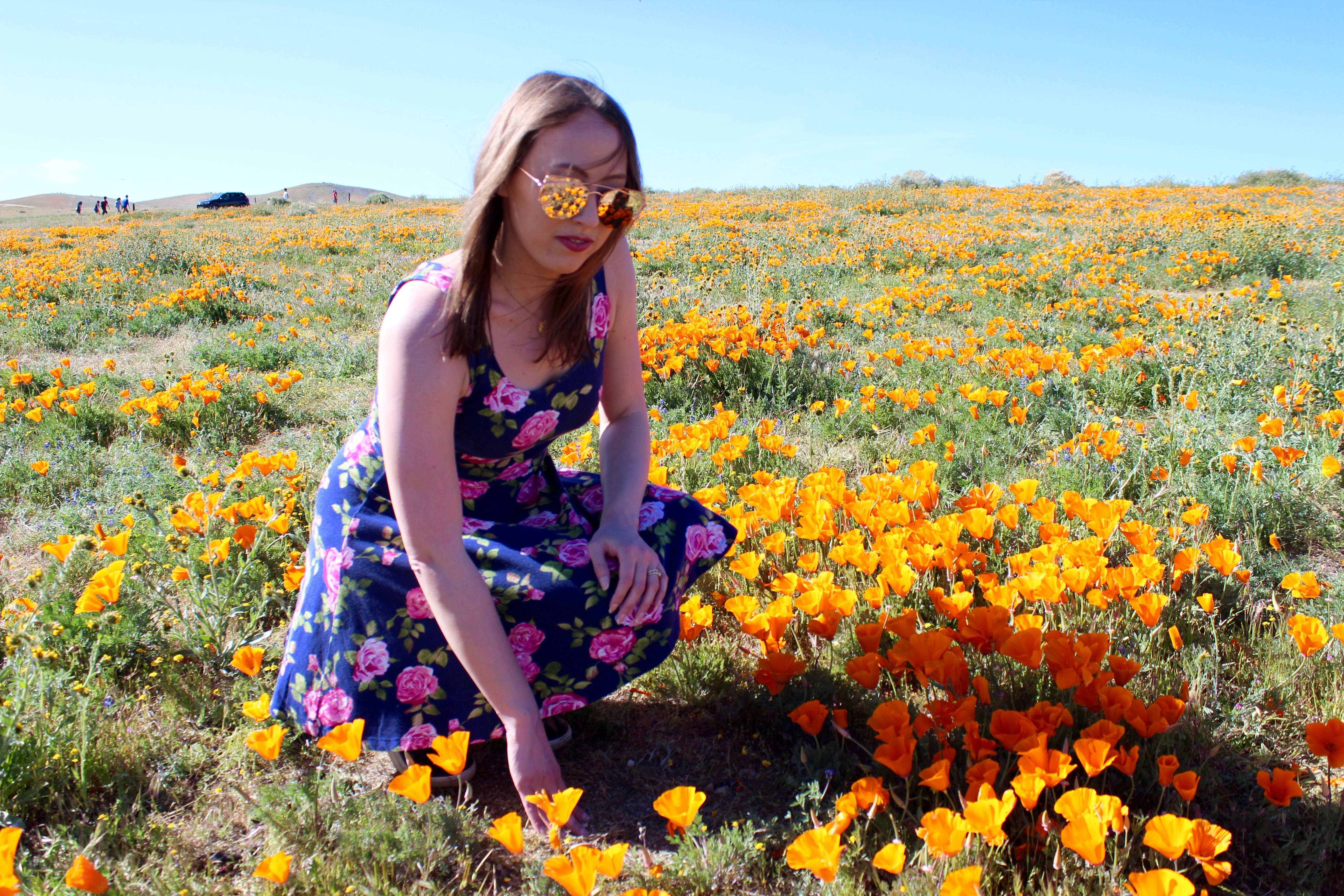 Where To See The Super Bloom In California 